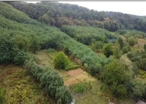 Teren Duta-Epureni, ID: R2757048