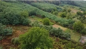 Teren Duta-Epureni, ID: R2757048 - imagine 8