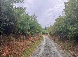 Teren Duta-Epureni, ID: R2757048 - imagine 11