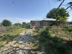 Casa comuna Crivat,Jud Calarasi - imagine 8