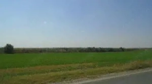 Teren cota parte 1/6, Branistea, ID: R2757177 - imagine 5