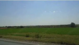 Teren cota parte 1/6, Branistea, ID: R2757177