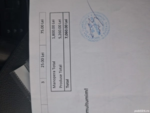 Vand bmw x 3 e 83 an 2004 diesel - imagine 7