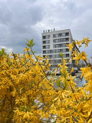 Apartament 2 camere nou-63 mp S.utilă - Zona Lacul Străulești-Mall Colosseum, Sector 1