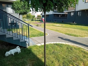 Vând apartament NOU, 3 camere, terasa 75mp, parcare, finisat, mobilat ,locație excelenta - imagine 7