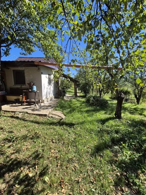 Teren intravilan în zona Sărmaș  - imagine 6