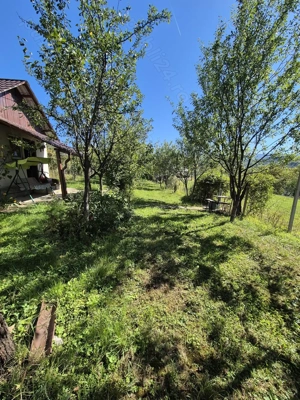 Teren intravilan în zona Sărmaș  - imagine 11