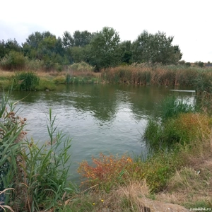 Teren de vânzare - imagine 8