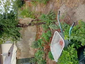 Vand teren 434 mp - imagine 2