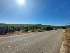 Comarna (aproape de Tomesti) - Proprietate unică la marginea pădurii