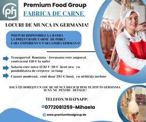 Locuri de munca abator germania