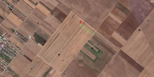 Teren Extravilan In Rate Primaverii Com. Berceni | 6359mp | #EG46