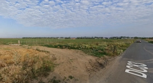 Teren Intravilan Berceni Manastire | curent gaz la sosea | #LG5E - imagine 3