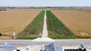 Teren Intravilan In Rate Com Berceni | utilitati: curent, gaz | #MG10