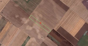 Teren Extravilan In Rate Primaverii Com. Berceni | 12.576mp | #EG41