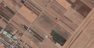 Teren Extravilan In Rate Primaverii Com. Berceni | 2585mp | #EG45 - imagine 3