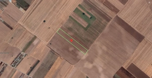 Teren Extravilan In Rate Primaverii Com. Berceni | 10.510mp | #EG29