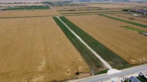 Teren Intravilan In Rate Com Berceni | utilitati: curent, gaz | #MG10 - imagine 7