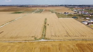 Teren Intravilan Rate Comuna Berceni, Oituz | curent in zona | #UG24E - imagine 6