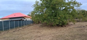 Teren intravilan 835 mp , D - 23 m , zona linistita - imagine 2