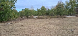 Teren intravilan 835 mp , D - 23 m , zona linistita - imagine 3