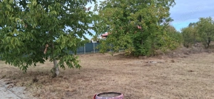 Teren intravilan 835 mp , D - 23 m , zona linistita - imagine 4