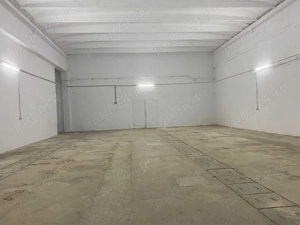 Hala industriala de inchiriat, Calea Aradului, 488mp