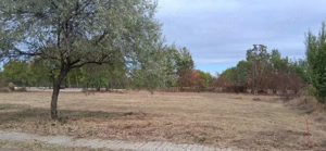 Teren intravilan 836 mp , deschidere 24 ml , zona linistita