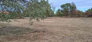 Teren intravilan 836 mp , deschidere 24 ml , zona linistita - imagine 2