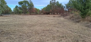 Teren intravilan 836 mp , deschidere 24 ml , zona linistita - imagine 3