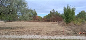 Teren intravilan 836 mp , deschidere 24 ml , zona linistita - imagine 5