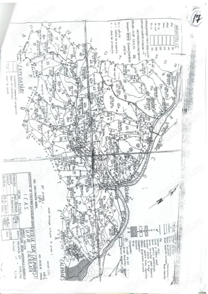 Teren pentru constructii   PĂDURE. Vanzare   Colaborare - Inchiriere - imagine 7