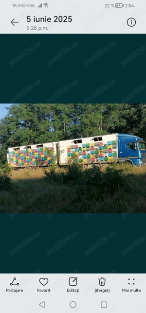 Miere de amorfa en gross 