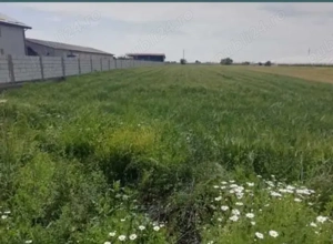 Vand teren intravilan Tomsani Prahova - imagine 2