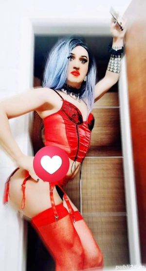 Ts new in tara doar deplasari