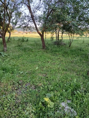 Teren de vanzare langa Alesd