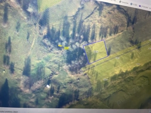 Teren extravilan la Cacica