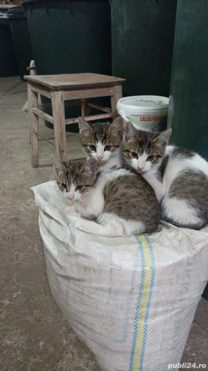 Nu regretati daca ne luati!