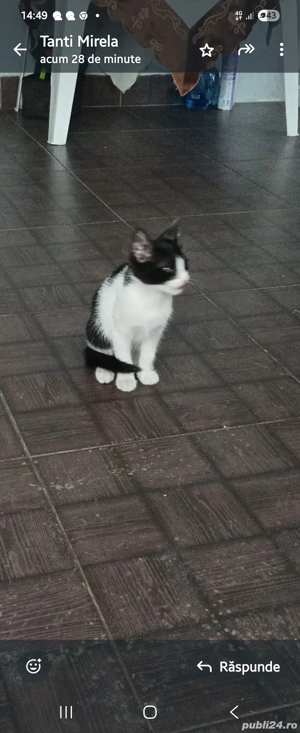 Nu regretati daca ne luati! - imagine 2 Nu regretati daca ne luati! - imagine 2