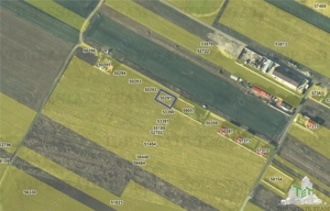 Teren 428mp ideal pentru casa in Dragomiresti-Vale - imagine 3