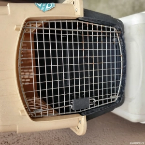 Cusc  pentru Cîine  - imagine 3