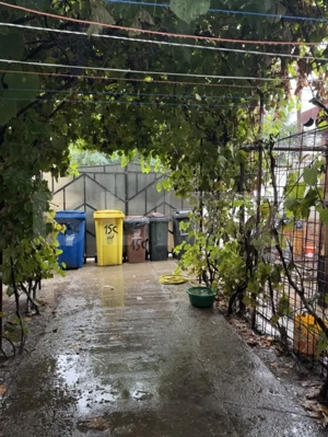 Casa P+M, 96 mp utili, 211 mp teren, zona Cernele  - imagine 16