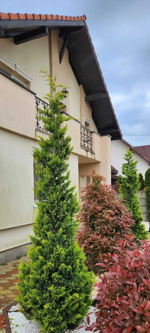 Casa individuala Mosnita Noua   200 mp utili, teren 792 mp