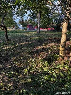 vand teren intravilan pocioveliste 8 ari  - imagine 4 vand teren intravilan pocioveliste 8 ari  - imagine 4