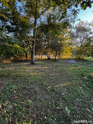 vand teren intravilan pocioveliste 8 ari  - imagine 3 vand teren intravilan pocioveliste 8 ari  - imagine 3