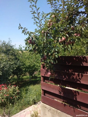 Breazu (Iași), persoană fizică - proprietar, vând 500 mp teren intravilan