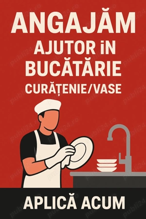 Angajăm Ajutor în Bucătărie   Curățenie Vase