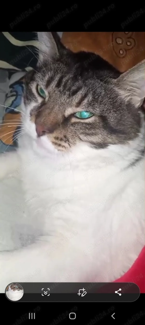 Caut să lucrez la scară de bloc sau pe regim hotelier