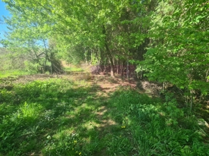 Teren de vanzare in Campina in zona retrasa - imagine 10