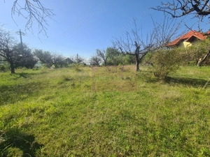 Teren de vanzare in Campina in zona retrasa - imagine 1